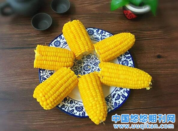玉米新品种选育及栽培技术
