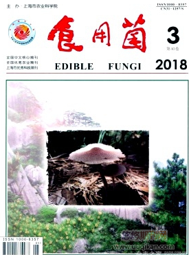 ʳþ